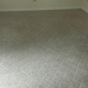 Photo of Roseman Carpet Cleaning
