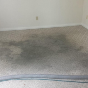 Photo of Roseman Carpet Cleaning