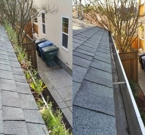 Photo of Epic Exterior Cleaning