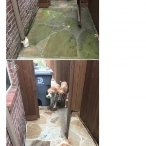 Photo of Home Power Washing