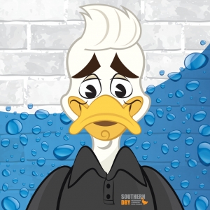 Photo of Southerndry Waterproofing & Foundation Repair Specialist