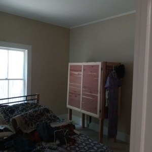 Photo of Ed Doyle Eco Painting