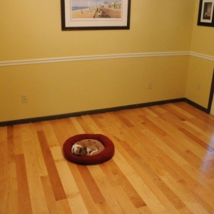 Photo of Ziggy's Wood Floor Mechanics