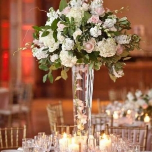 Photo of Photoscapes Ohio Event Planning Coordinating and More