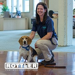 Photo of Rottler Pest Solutions