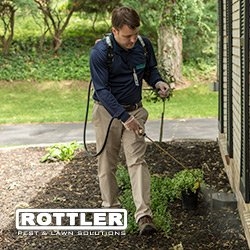 Photo of Rottler Pest Solutions