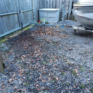Photo of Turtles haul away & junk removal