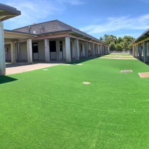 Photo of Emerald Greens Grass