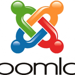 Photo of Local One Internet Marketing