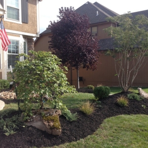 Photo of Austin's Lawn Care