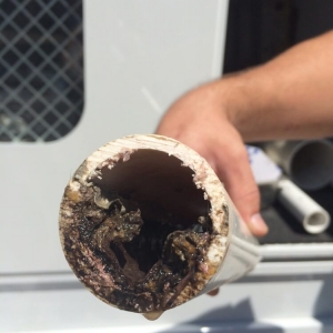 Photo of Plumbing Unlimited