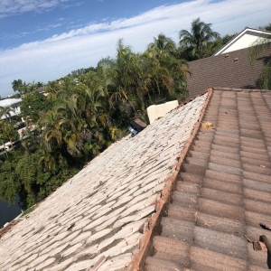 Hialeah Acebo Roofing