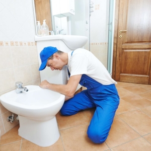 Photo of BUTA Building Services