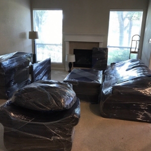 Photo of Shark Movers