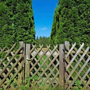 Photo of Las Vegas Fence