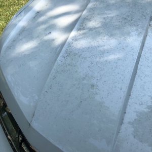 Photo of Galleria Express Car Wash