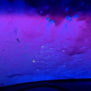 Photo of Galleria Express Car Wash