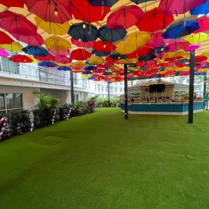 Orlando P&F Artificial Grass