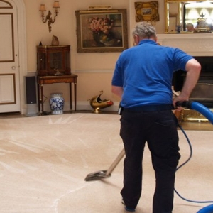 Arlington Dami Green Cleaning