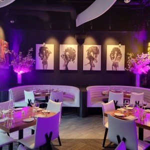 Photo of STK Steakhouse