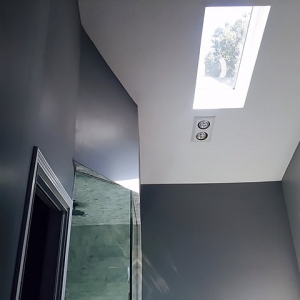Photo of Atlanta Skylights