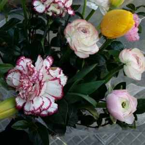 Photo of a. fortuño flors