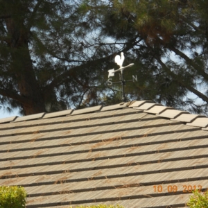 Photo of All Pro Roofing Company