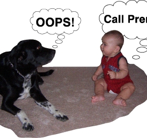 Union Premier Carpet Care & Water Damage Restoration
