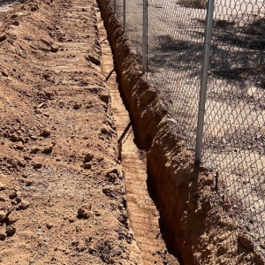 Phoenix Wild Donkey Constuction