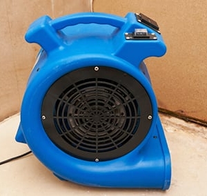 Photo of A Roto Restoration