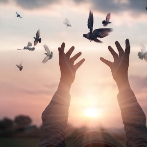 Photo of Charlotte White Dove Release