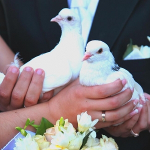 Photo of Charlotte White Dove Release