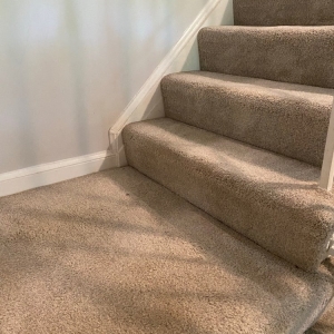 Photo of My Carpet Cleaning & Restoration Services