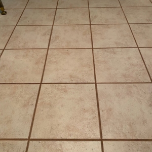 Photo of My Carpet Cleaning & Restoration Services