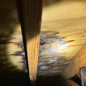 Photo of Hammer Roofing & Restoration