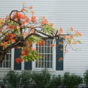 Photo of Smith Siding and Windows
