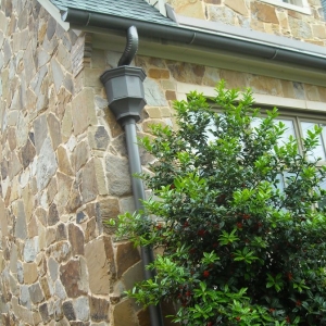 Photo of Dallas Gutter and Repair