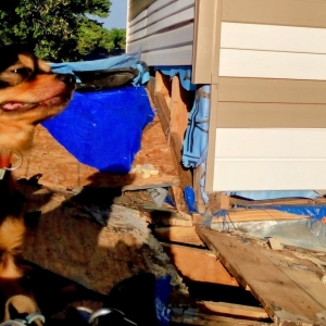 Photo of Tim Davidson Construction