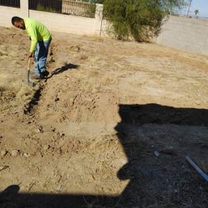 Phoenix Treetop Landscaping