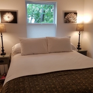 Photo of Nashville Downtown Tree Top Apartment