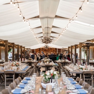 Photo of Ivy Weddings and Events