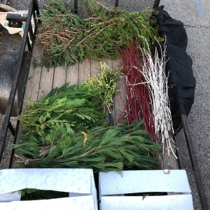 Photo of Spotts Garden Service