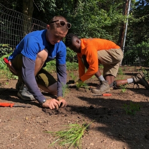Photo of Spotts Garden Service
