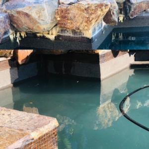 Photo of Orca Pool Tile Cleaning