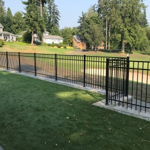 Photo of Viking Fence