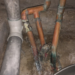 Photo of Paul The Plumber