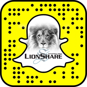 Gilbert Lion's Share Management Group