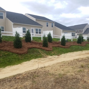 Photo of B Line Fencing & Services