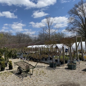 Photo of Eagle Creek Nursery & Landscape