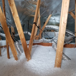 Photo of Green Attics